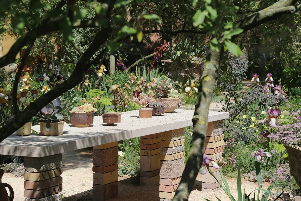 Détail amenagement cuisine jardin